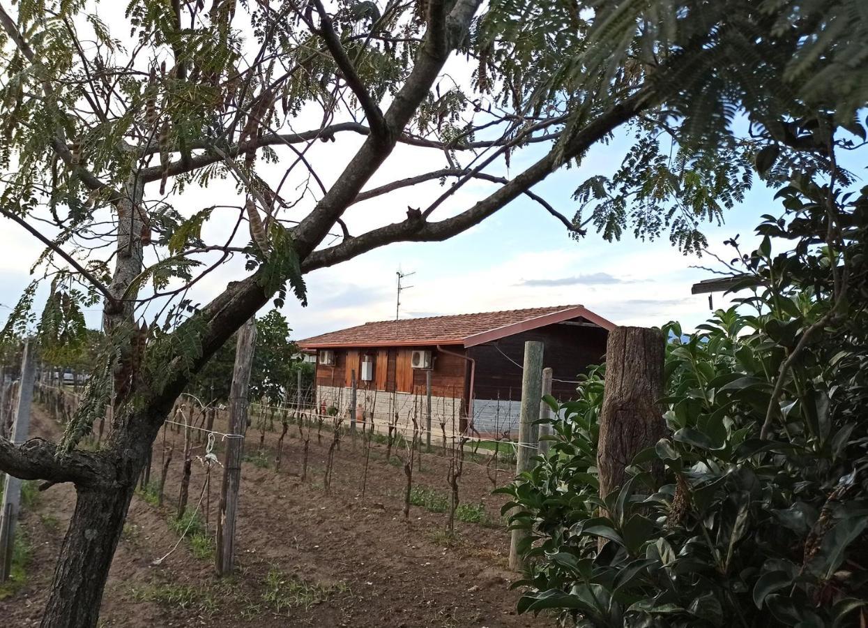 첼로레 Agriturismo Borgo Baldassarre 빌라 외부 사진